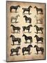 Vintage Horses Collection-NaxArt-Mounted Art Print