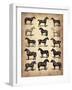 Vintage Horses Collection-NaxArt-Framed Art Print