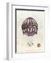 Vintage Hot Air Balloons I-Naomi McCavitt-Framed Art Print