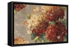 Vintage Hydrangea-Anna Polanski-Framed Stretched Canvas