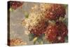 Vintage Hydrangea-Anna Polanski-Stretched Canvas