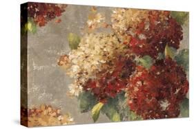 Vintage Hydrangea-Anna Polanski-Stretched Canvas