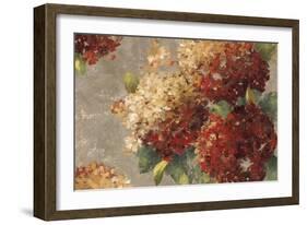 Vintage Hydrangea-Anna Polanski-Framed Art Print