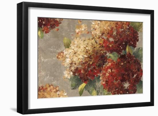 Vintage Hydrangea-Anna Polanski-Framed Art Print