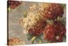 Vintage Hydrangea-Anna Polanski-Stretched Canvas
