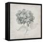 Vintage Hydrangea-Susan Jill-Framed Stretched Canvas