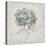 Vintage Hydrangea-Susan Jill-Stretched Canvas