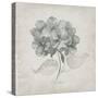 Vintage Hydrangea-Susan Jill-Stretched Canvas