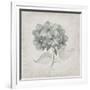 Vintage Hydrangea-Susan Jill-Framed Art Print