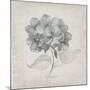 Vintage Hydrangea-Susan Jill-Mounted Art Print