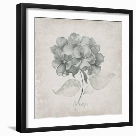 Vintage Hydrangea-Susan Jill-Framed Art Print