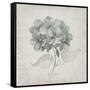 Vintage Hydrangea-Susan Jill-Framed Stretched Canvas