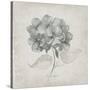 Vintage Hydrangea-Susan Jill-Stretched Canvas