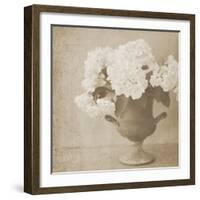 Vintage Hydrangeas-Shana Rae-Framed Giclee Print