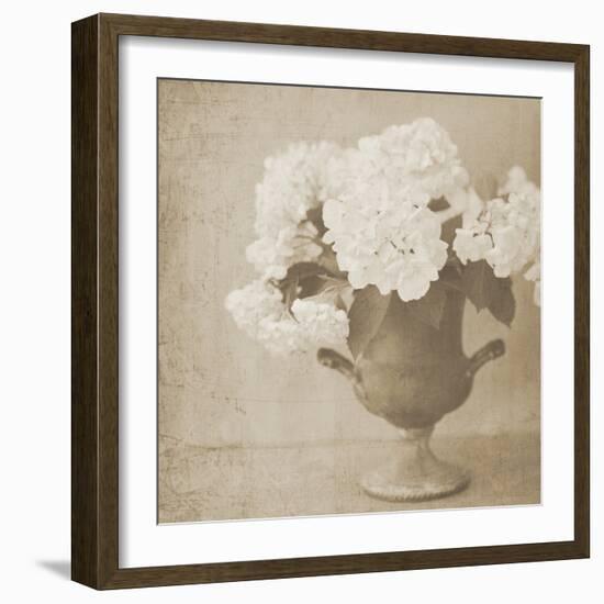 Vintage Hydrangeas-Shana Rae-Framed Giclee Print