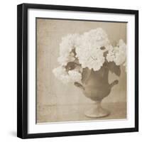Vintage Hydrangeas-Shana Rae-Framed Giclee Print