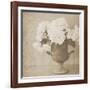 Vintage Hydrangeas-Shana Rae-Framed Giclee Print