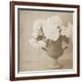 Vintage Hydrangeas-Shana Rae-Framed Giclee Print