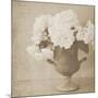 Vintage Hydrangeas-Shana Rae-Mounted Giclee Print