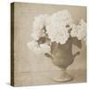 Vintage Hydrangeas-Shana Rae-Stretched Canvas