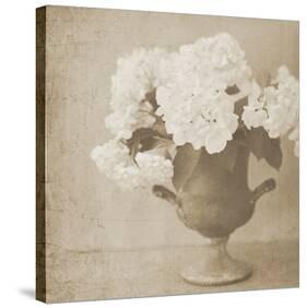 Vintage Hydrangeas-Shana Rae-Stretched Canvas