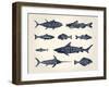 Vintage Illustration of Fish with Names in Tattoo Style over White Background-hauvi-Framed Art Print