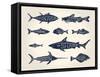 Vintage Illustration of Fish with Names in Tattoo Style over White Background-hauvi-Framed Stretched Canvas