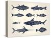 Vintage Illustration of Fish with Names in Tattoo Style over White Background-hauvi-Stretched Canvas