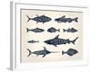 Vintage Illustration of Fish with Names in Tattoo Style over White Background-hauvi-Framed Art Print