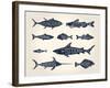 Vintage Illustration of Fish with Names in Tattoo Style over White Background-hauvi-Framed Art Print