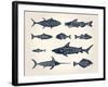Vintage Illustration of Fish with Names in Tattoo Style over White Background-hauvi-Framed Art Print