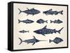 Vintage Illustration of Fish with Names in Tattoo Style over White Background-hauvi-Framed Stretched Canvas