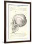 Vintage Illustration of the Skull-null-Framed Art Print