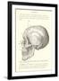 Vintage Illustration of the Skull-null-Framed Art Print