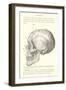 Vintage Illustration of the Skull-null-Framed Art Print