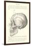 Vintage Illustration of the Skull-null-Framed Art Print