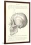 Vintage Illustration of the Skull-null-Framed Art Print