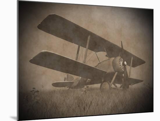 Vintage Image of a Biplane Parked on the Grass-null-Mounted Art Print