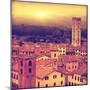 Vintage Image of Lucca at Sunset, Old Town in Tuscany.-Elenamiv-Mounted Photographic Print