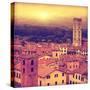 Vintage Image of Lucca at Sunset, Old Town in Tuscany.-Elenamiv-Stretched Canvas