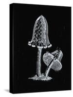 Vintage Inky Cap Edible Mushroom Dark BW-Biodiversity Heritage Library-Stretched Canvas