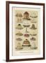 Vintage Jellies-The Vintage Collection-Framed Giclee Print