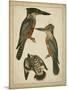 Vintage Kingfishers I-null-Mounted Art Print