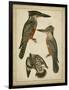 Vintage Kingfishers I-null-Framed Art Print