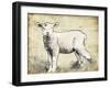 Vintage Lamb Sketch-Jace Grey-Framed Art Print