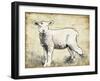 Vintage Lamb Sketch-Jace Grey-Framed Art Print