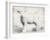 Vintage Lamb-Jace Grey-Framed Art Print