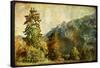 Vintage Landscape-Maugli-l-Framed Stretched Canvas