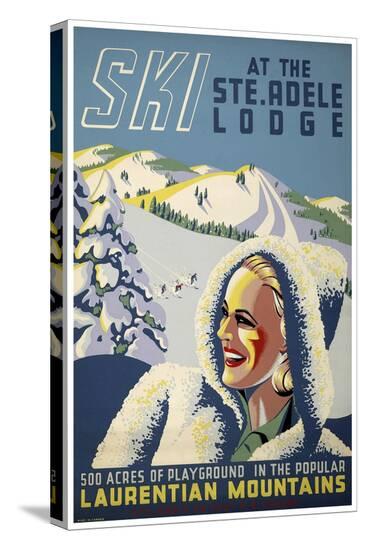 Stretched Canvas Print, , large