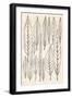 Vintage Leaf Engravings-null-Framed Art Print